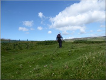 Grassy track across open area of rough grassland and bracken